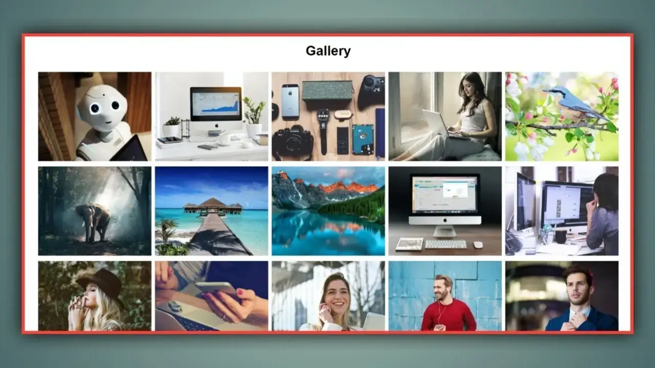 Gallery Image 3